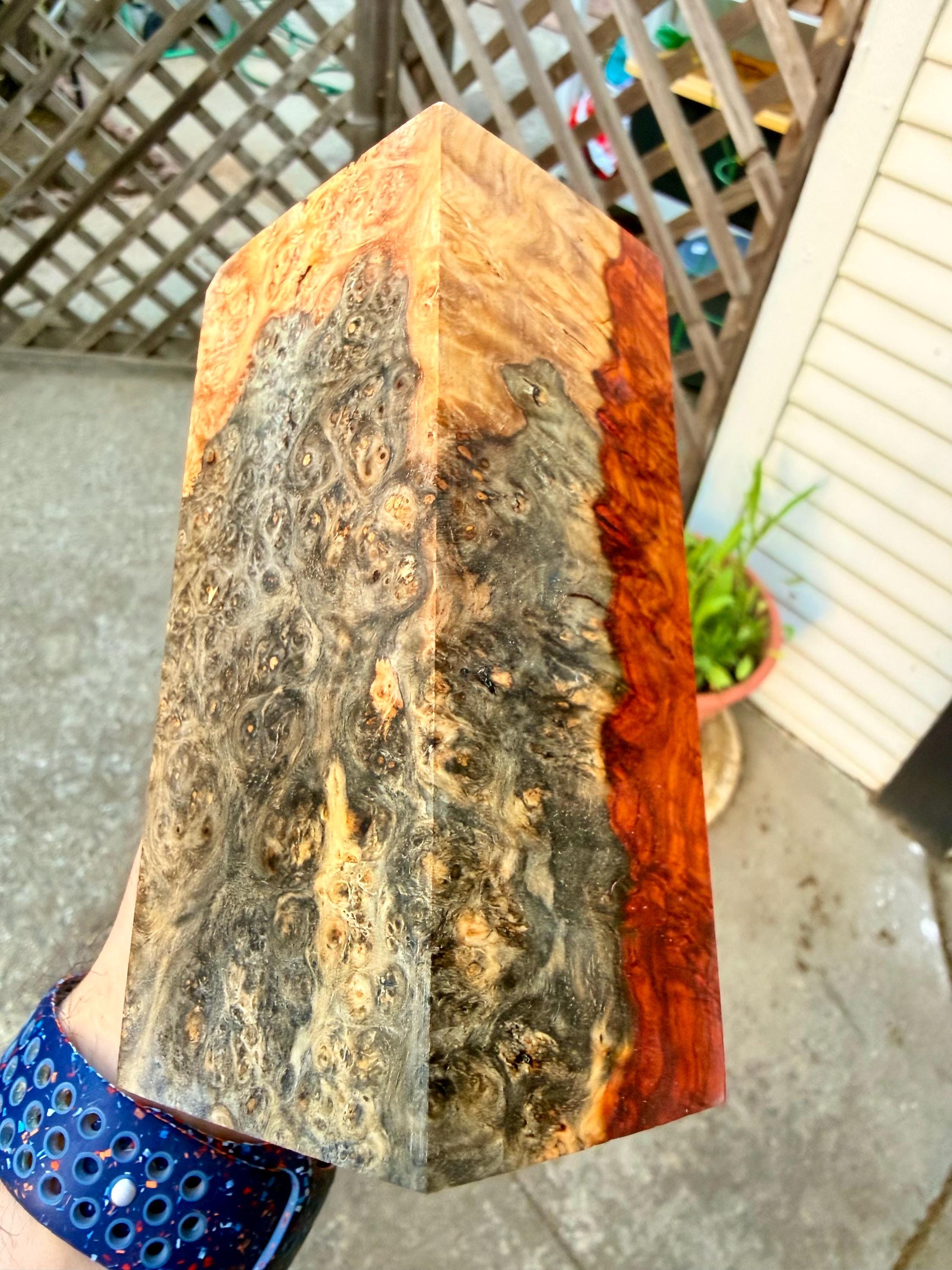 XL Sized Museum-Grade Tri Color - Amboyna Burl Blank (Spalted, Sapwood, Deep Red Heartwood)         Professionally Stabilized by K&G