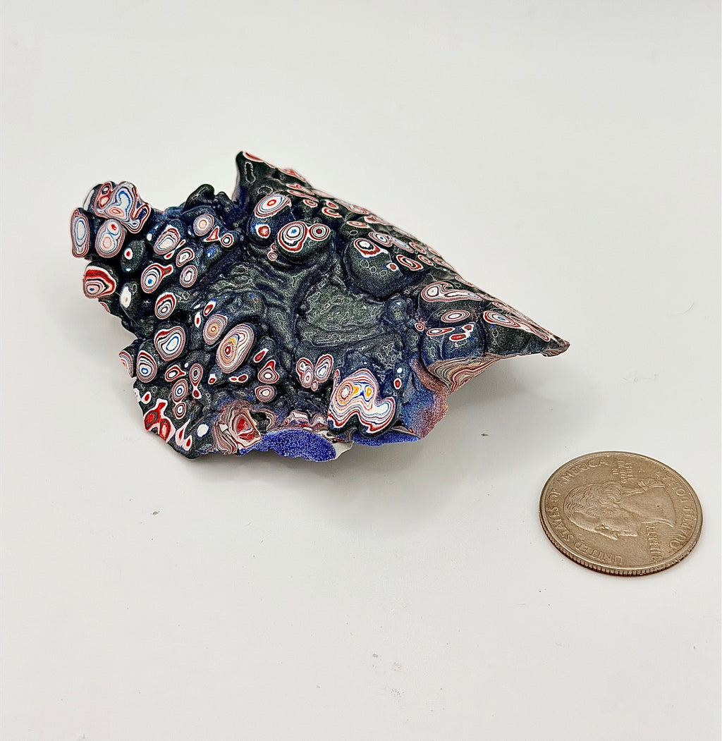 Vintage Kenworth Fordite specimen with quarter for scale