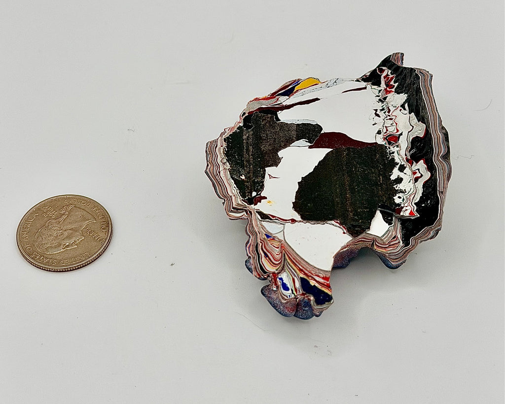 Reverse side of vintage Kenworth Fordite specimen with quarter for scale